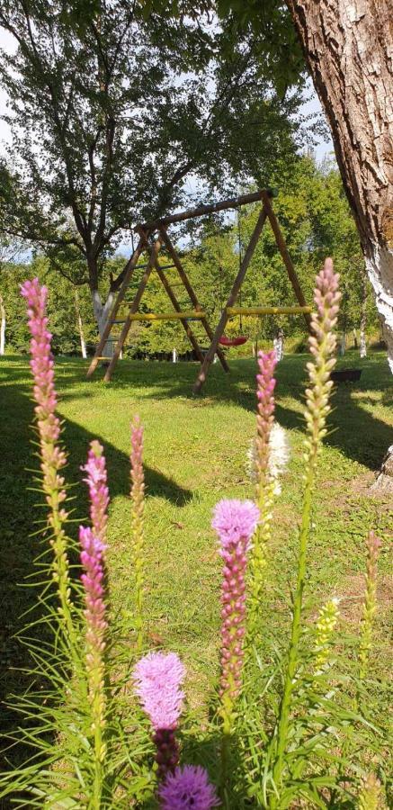 Holiday Home, Apartman Obajdin Slunj Ngoại thất bức ảnh